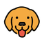 Bruno logo